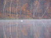 Rice Lake National Wildlife Refuge