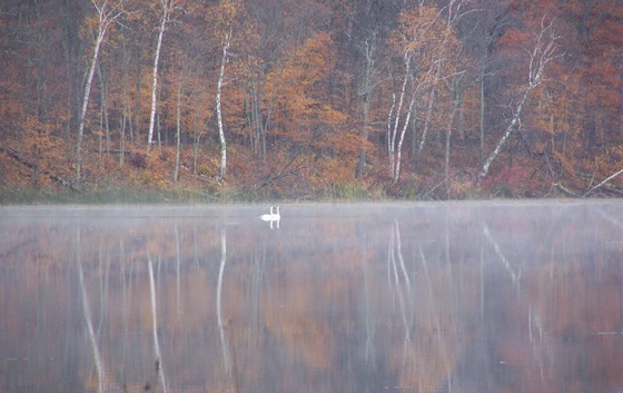 Rice Lake National Wildlife Refuge