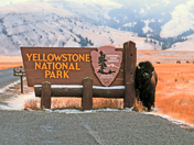 Yellowstone National Park