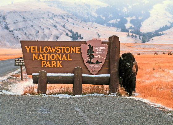 Yellowstone National Park