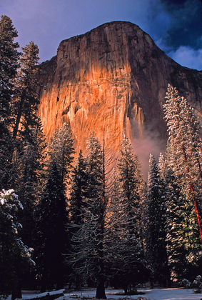 Yosemite NP