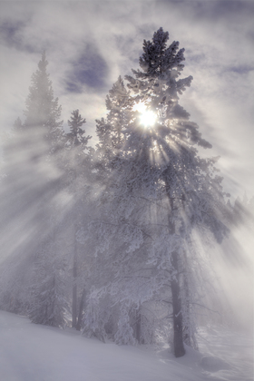 Yellowstone