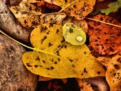 Grand Tetons National Park