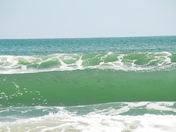 Cape Hatteras National Sea Shore