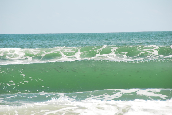 Cape Hatteras National Sea Shore