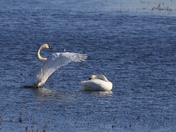 Squaw Creek National Wildlife Refuge