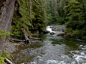 Olympic National Park