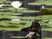 Banks Lake National Wildlife Refuge