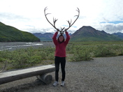 Denali National Park