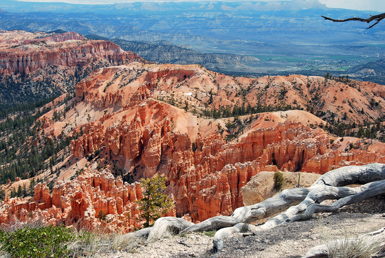 Bryce Canyon NP