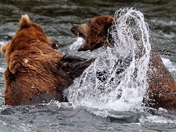 Katmai National Park