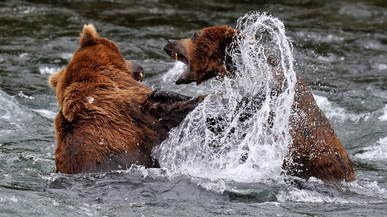 Katmai National Park