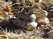 Banks Lake National Wildlife Refuge