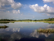 Big Cypress National Preserve