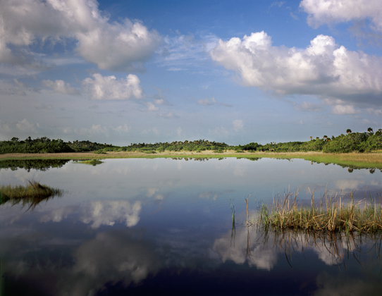 Big Cypress National Preserve