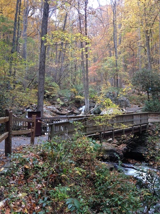 Chattahoochee National Forest