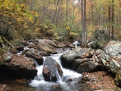 Chattahoochee National Forest