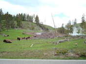 Yellowstone National Park