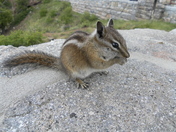 Bryce Canyon National Park