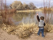 Rio Grande Recreation Area