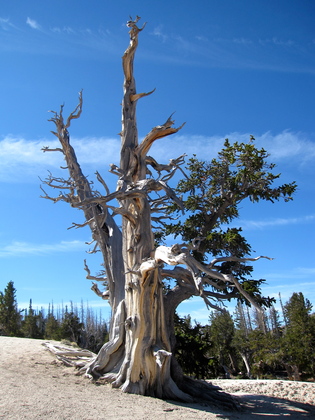 cedar breaks national monument