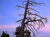 bryce canyon national park