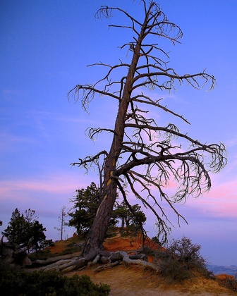 bryce canyon national park