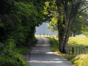Great Smoky Mountains National Park