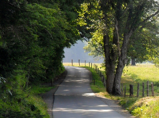 Great Smoky Mountains National Park
