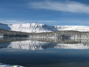 Ashley National Forest