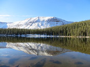 Ashley National Forest