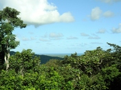 El Yunque National Forest, Puerto Rico