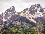 Grand Teton National Park