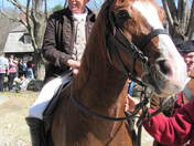 Minute Man National Historic Park