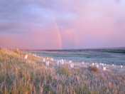 Little Bighorn Battlefield National Monument