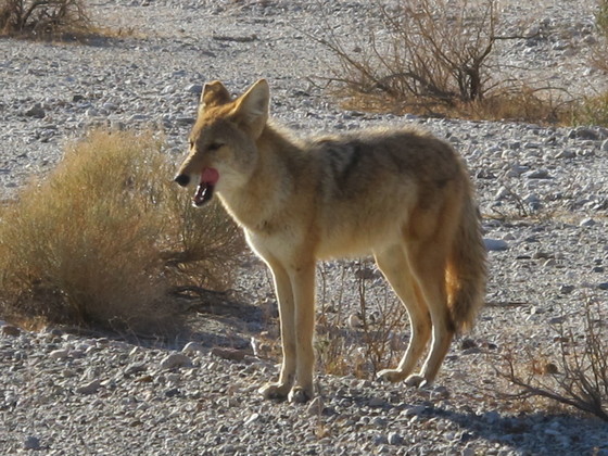 Death Valley National Park