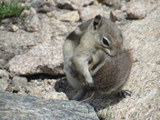 Rocky Mountain National Park
