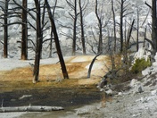 Yellowstone national Park - Angel Terrace