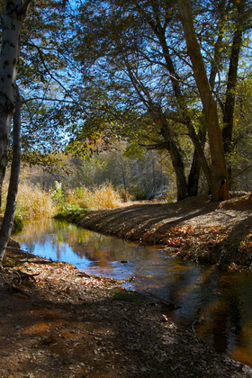 coconino national forest
