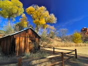 Coconino National Forest