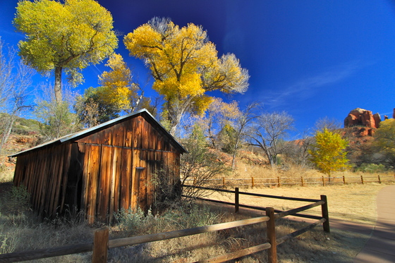 Coconino National Forest