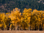 Grand Teton National Park