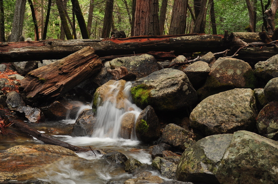 Yosimite Nat. Park