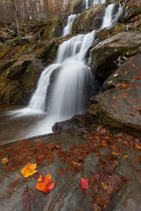 Shenandoah National Park