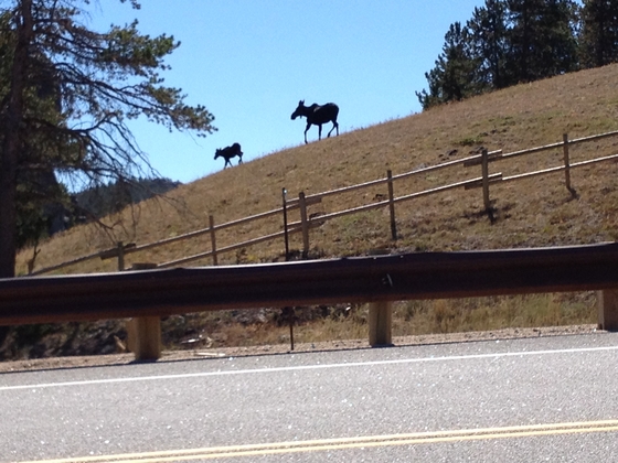 Yellowstone National Park