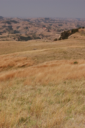 Roosevelt National Park
