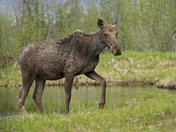 Grand Teton National Park
