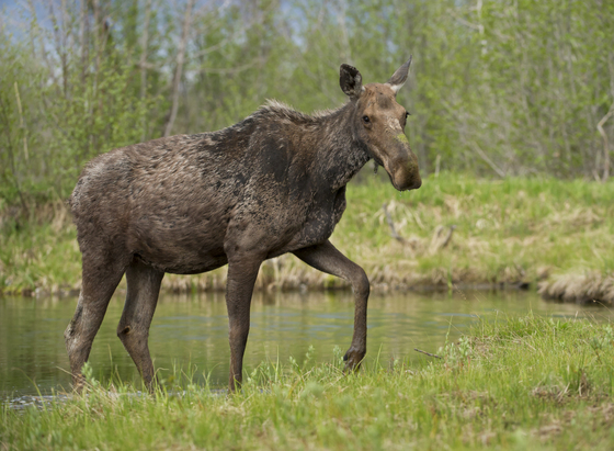 Grand Teton National Park