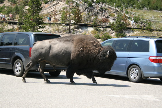 Yellowstone National Park