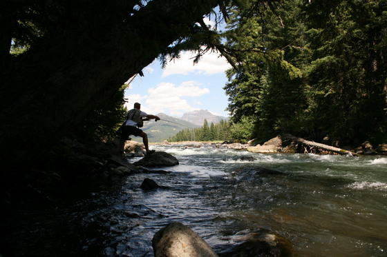 Yellowstone National Park